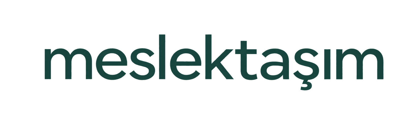 meslektaşım
